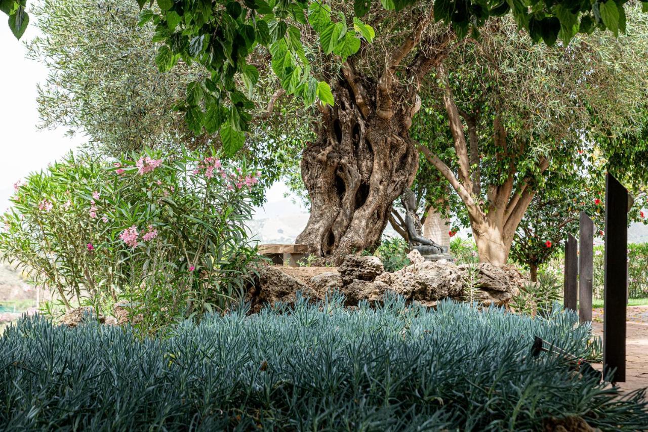 Finca Las Hierbas B&B Alora Exteriör bild